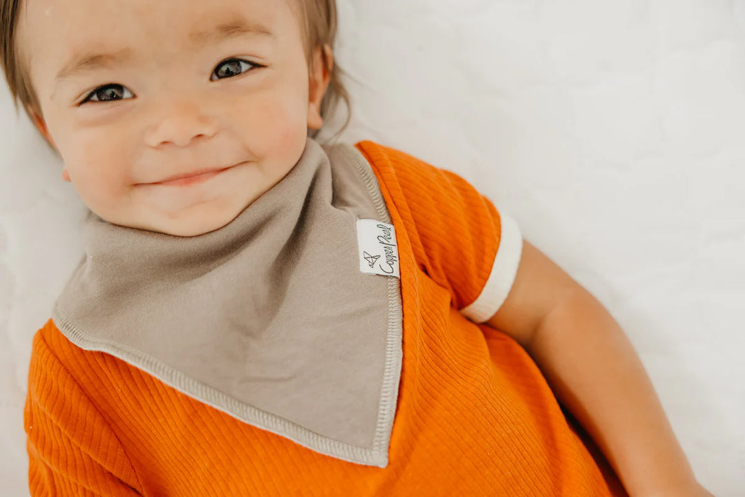 Baby Bandana Bibs - Swift