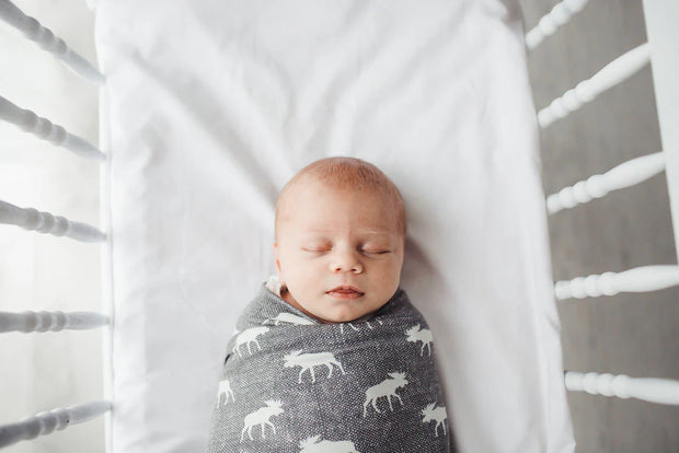 Knit Swaddle Blanket - Scout