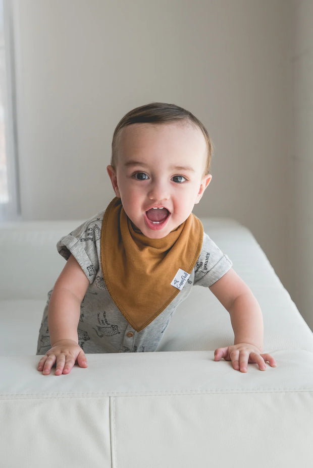 Baby Bandana Bibs - Ridge