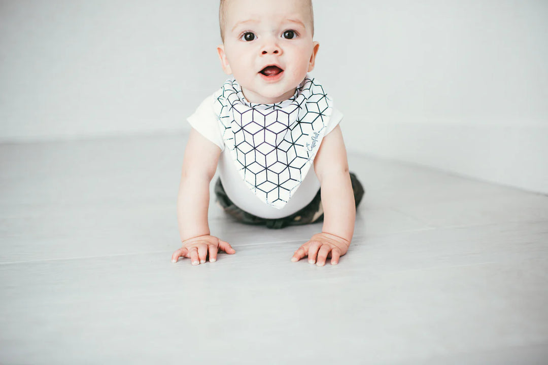 Baby Bandana Bibs - Wild