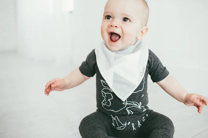 Baby Bandana Bibs - Wild