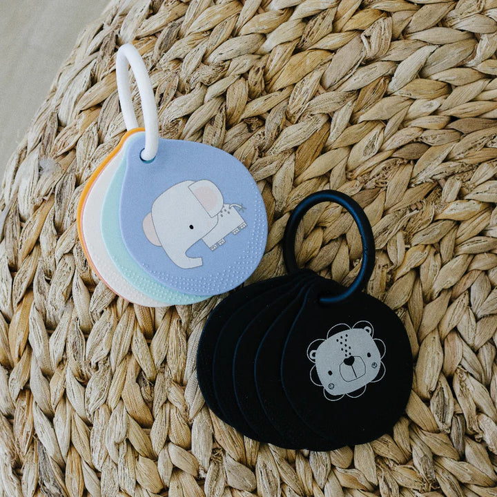Loulou Lollipop Flashcards