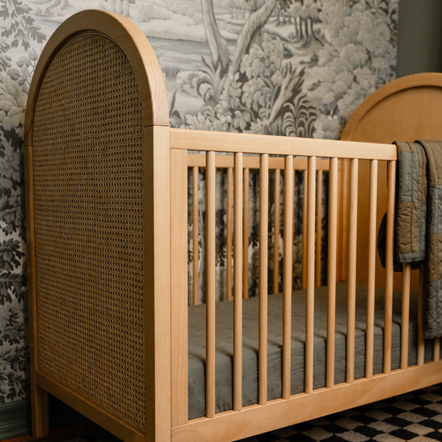 Babyletto Bondi Cane Convertible Crib