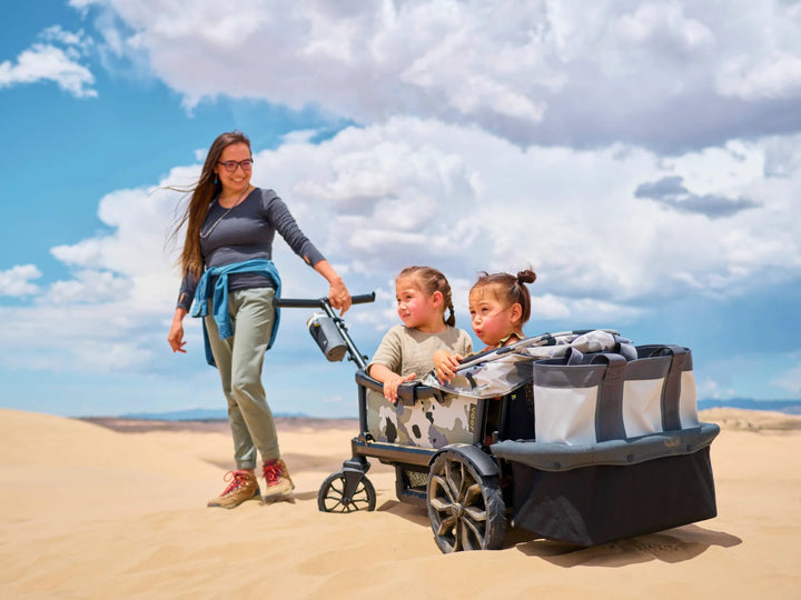 Veer Cruiser XL Foldable Storage Basket