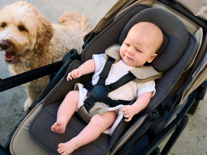 Veer Soft Infant Insert for Switchback