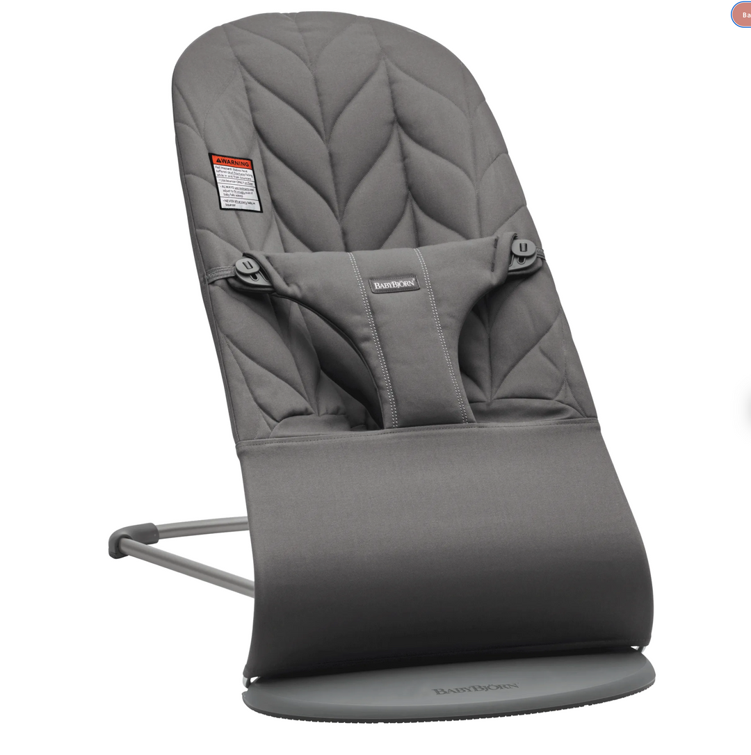 Baby Bjorn Bouncer Bliss Baby Grand