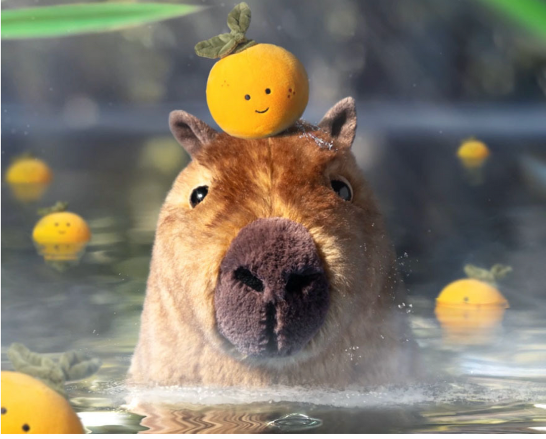 Jellycat Clyde Capybara