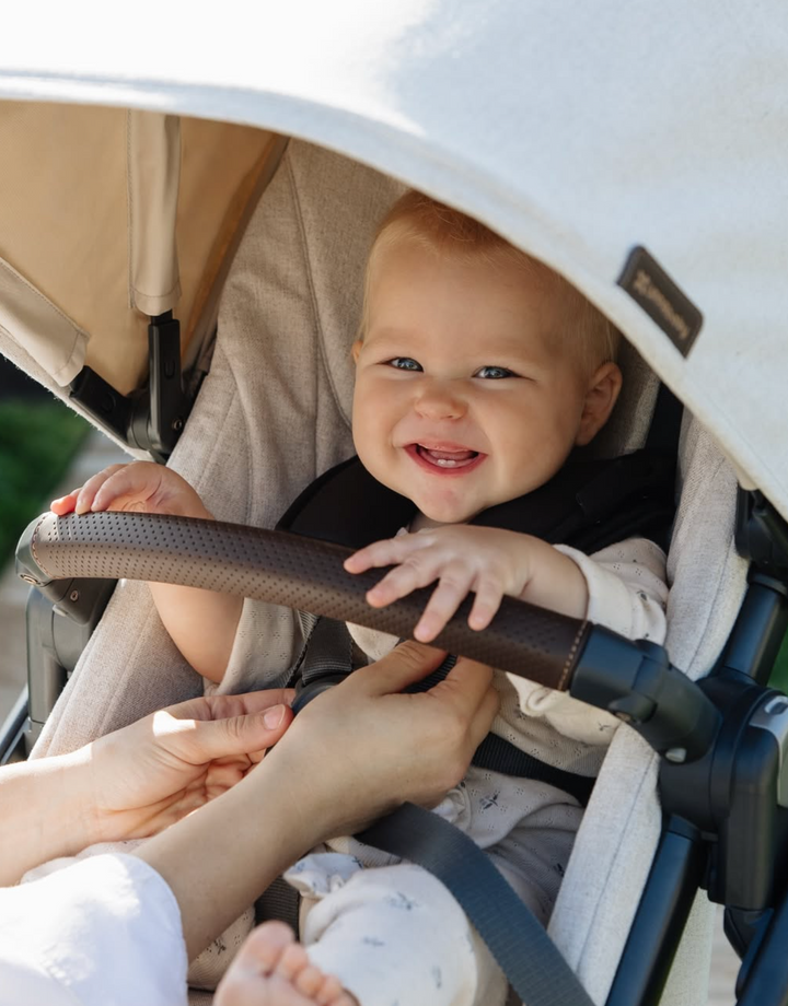 UPPAbaby Cruz V3 Stroller