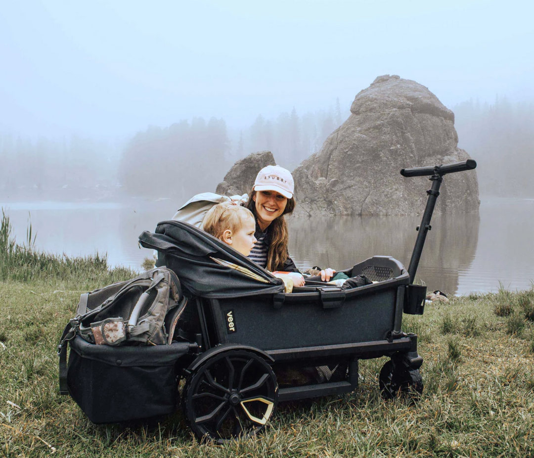 Veer Cruiser XL Foldable Storage Basket