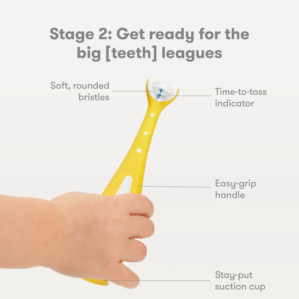 Fridababy Grow-With-Me Training Toothbrush Set