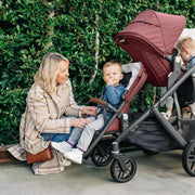 UPPAbaby VISTA V2 Double Stroller Bundle with Rumble Seat V2 - Lucy