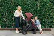 UPPAbaby VISTA V2 Double Stroller Bundle with Rumble Seat V2 - Lucy