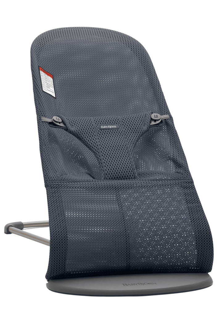 Baby Bjorn Bouncer Bliss
