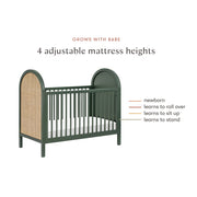 Babyletto Bondi Cane Convertible Crib