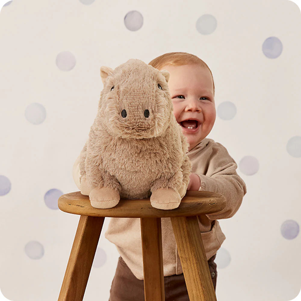 Warmies Capybara  Plush