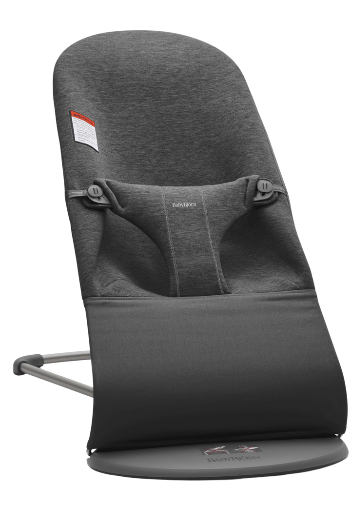 Baby Bjorn Bouncer Bliss
