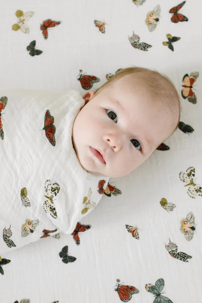 Clementine Kids Butterfly Migration Crib Sheet