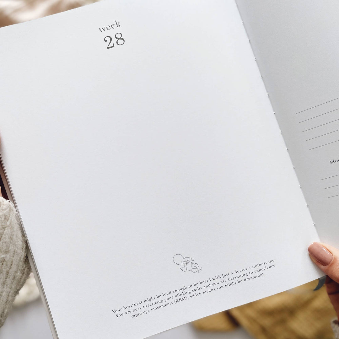 Blush and Gold Pregnancy Journal  -  Ivory