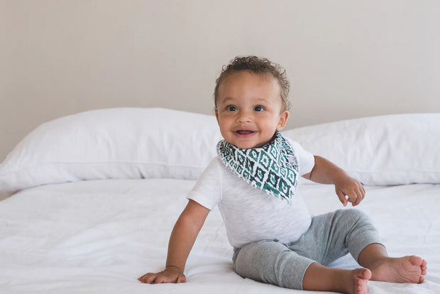 Baby Bandana Bibs - Bison