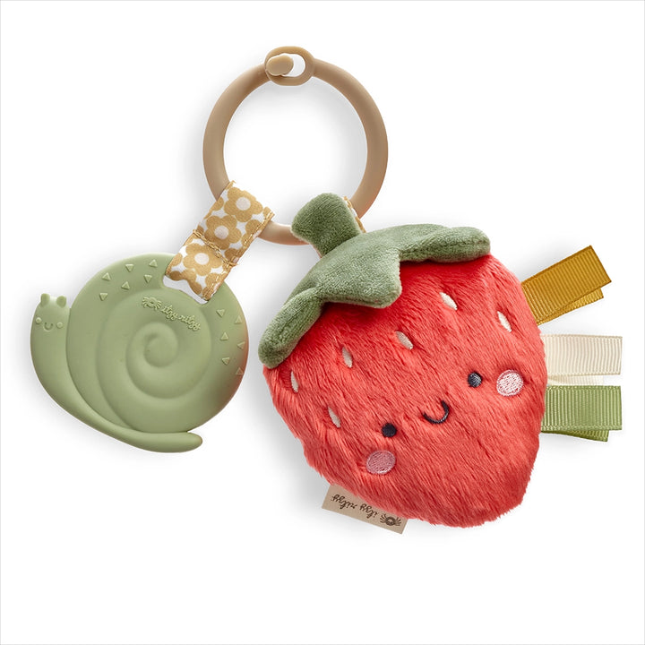 Itzy Ritzy Itzy Pal Plush + Teether