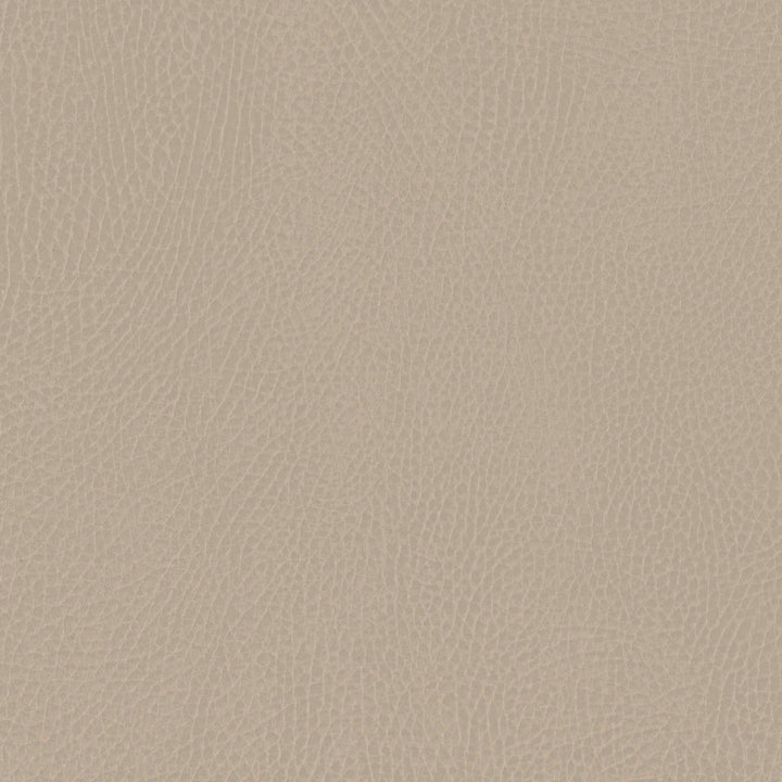 M26834GMLB,Babyletto,babyletto x GATHRE Capsule Bassinet in Millet