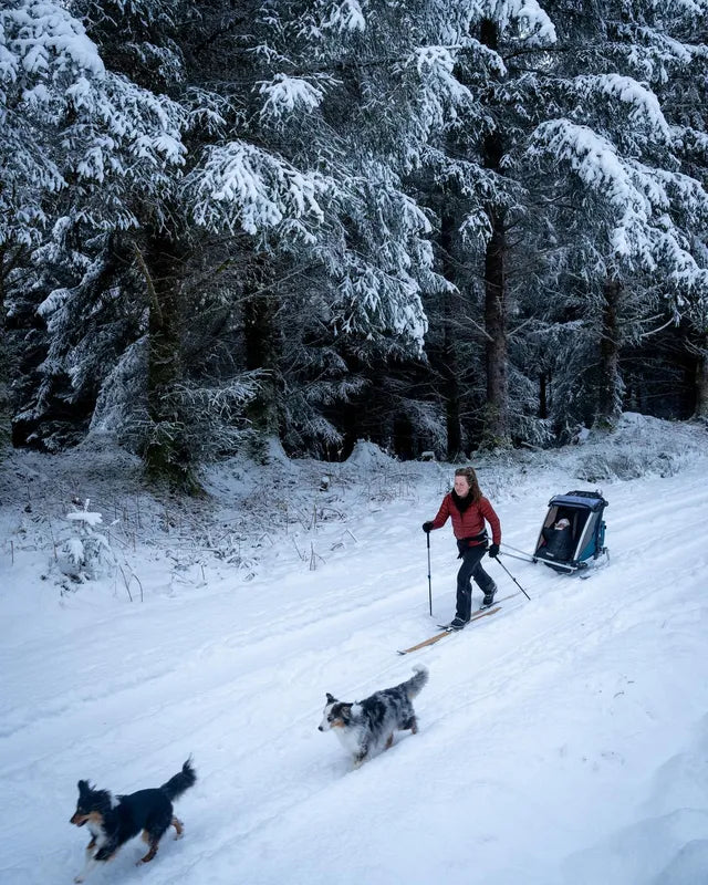Thule Chariot Cross 2 Double  Bike Trailer  - In Stock