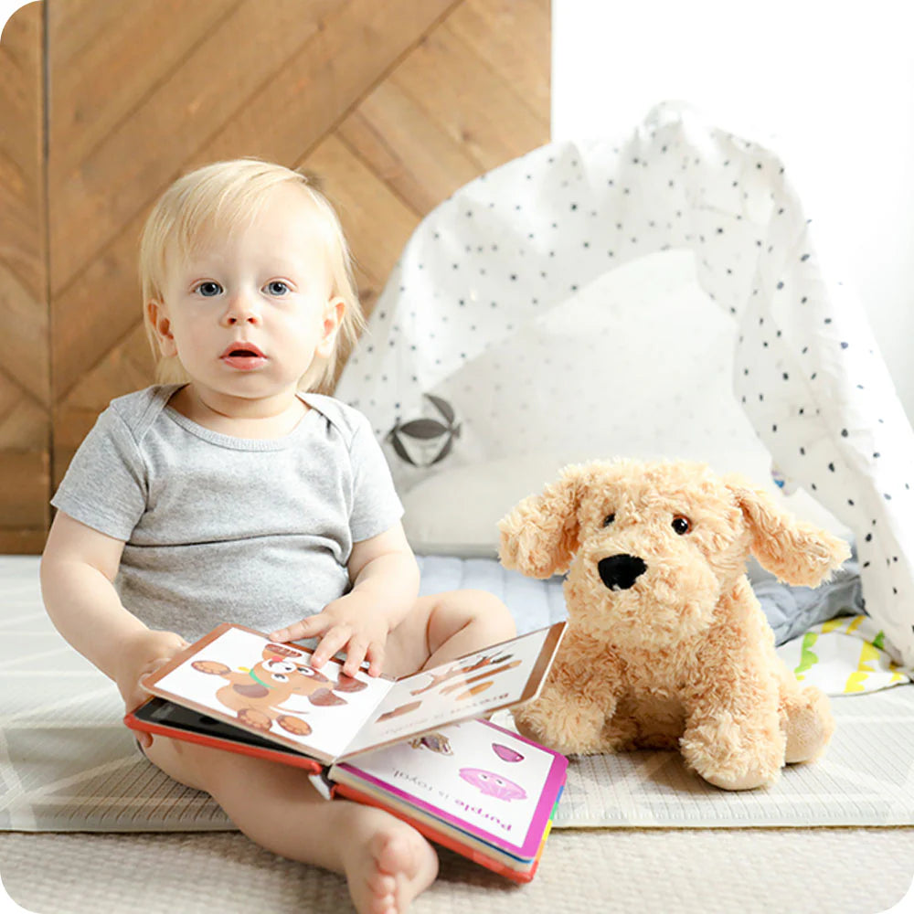 Warmies Golden Dog Plush