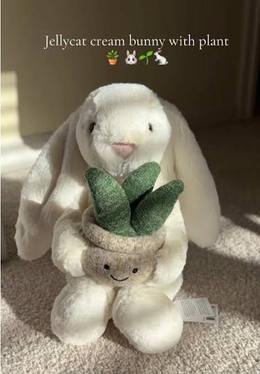 Jellycat Cream Bunny with Plant