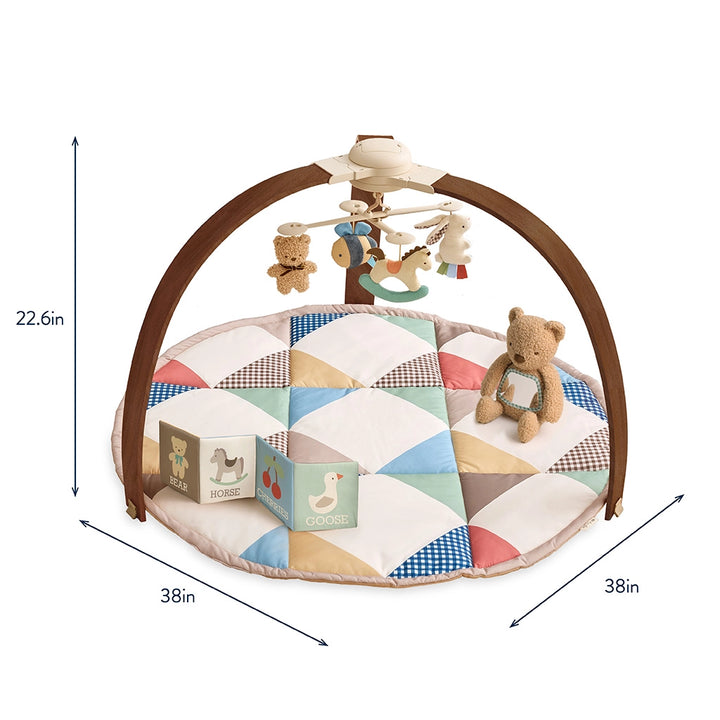 Itzy Ritzy Music & Motion Activity Gym
