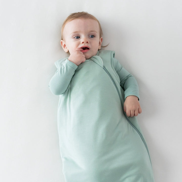 Kyte Baby Sleep Bag 2.5 TOG - Pastels