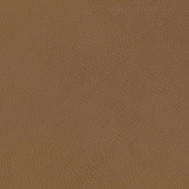 M26834GCLB,Babyletto,babyletto x GATHRE Capsule Bassinet in Camel