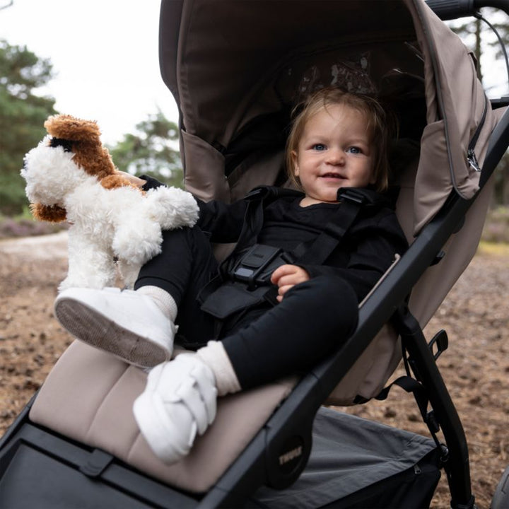 Thule Urban Glide 4- Wheel All Terrain Stroller