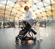 Thule Shine Compact Full Feature Stroller