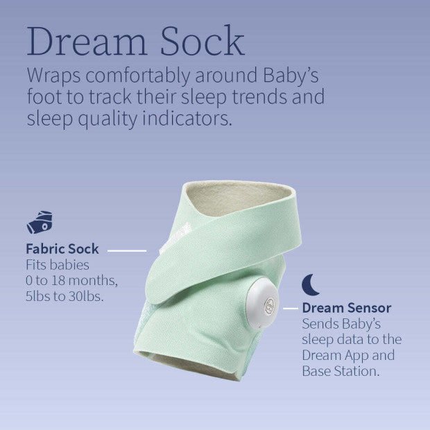 Owlet Dream Sock