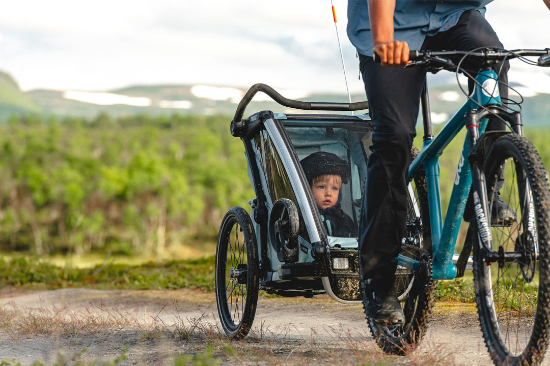 Thule double bike trailer hotsell
