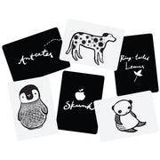 Wee Gallery Art Cards for Baby - Black and White Collection