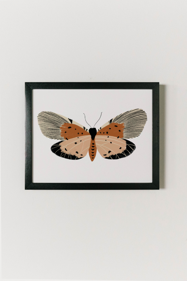 Monarch Butterfly Framed Art