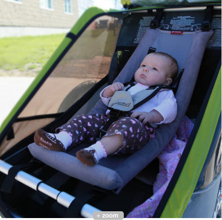 Thule coaster xt infant sling hotsell