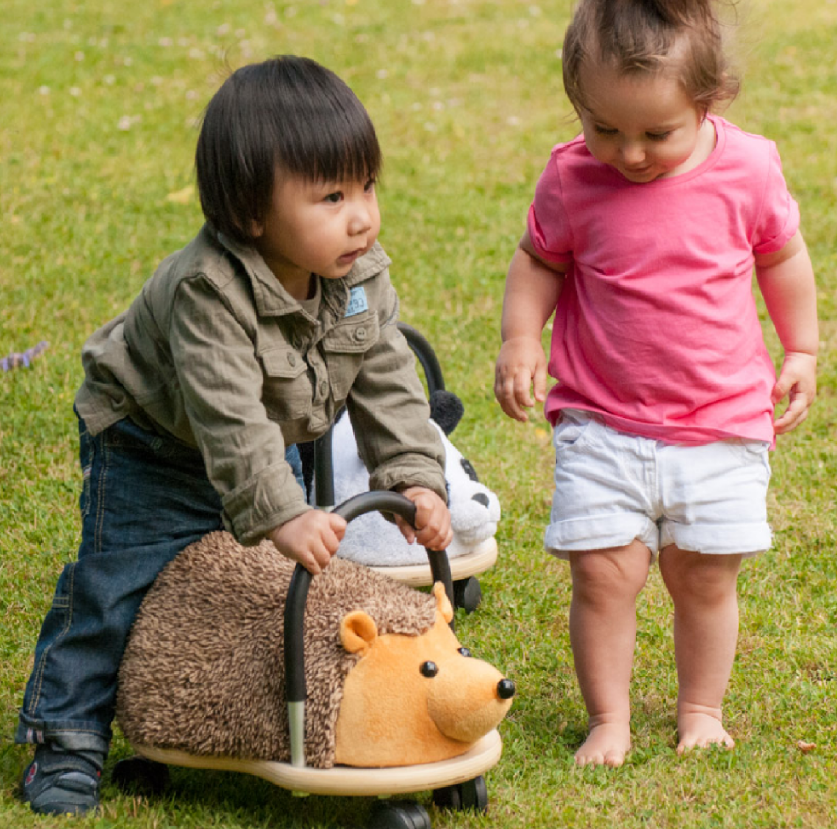 Wheely Bug Hedgehog Baby Grand