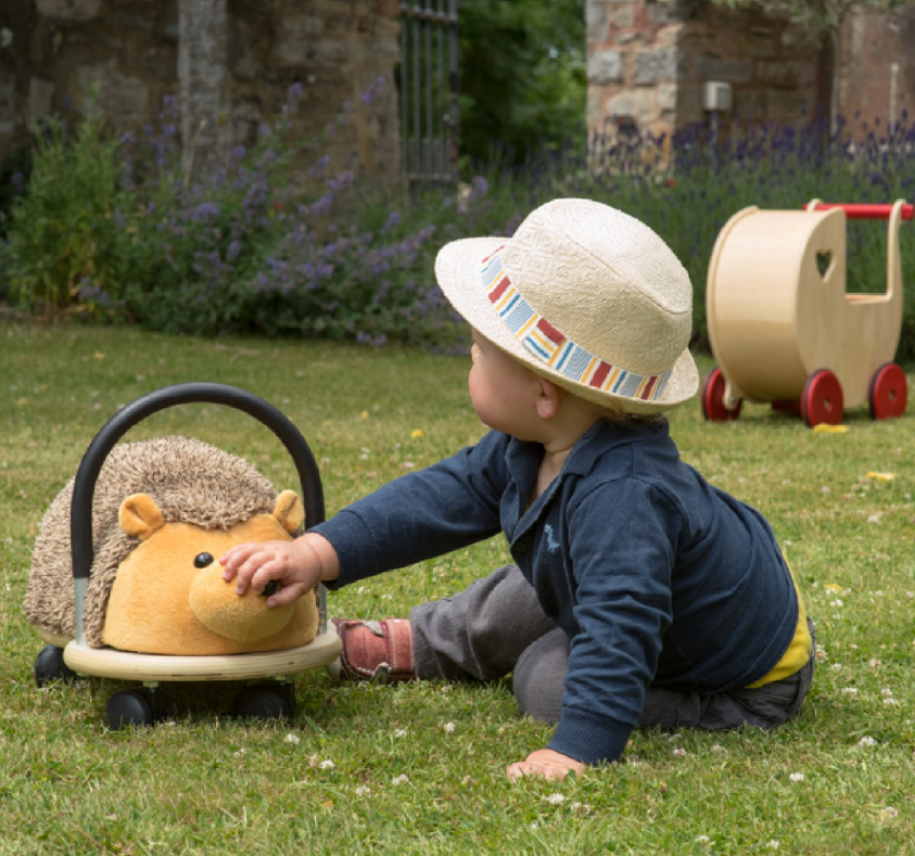 Wheely bug hedgehog hotsell