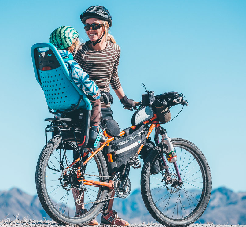 Thule Yepp Maxi Bike Seat Baby Grand