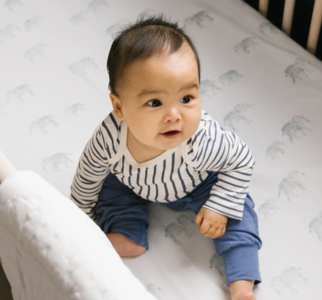 Pehr 2024 crib sheets