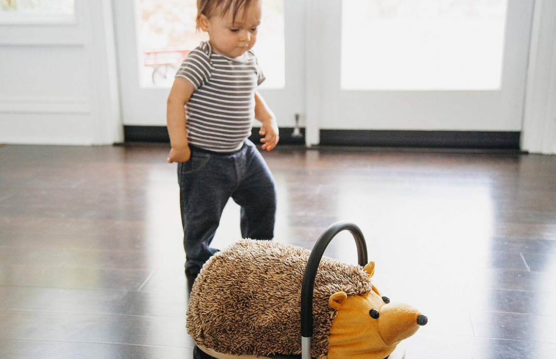 Wheely bug deals hedgehog