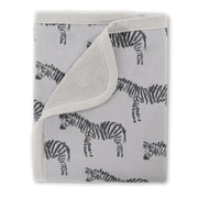 Oilo Zebra Bedding Collection