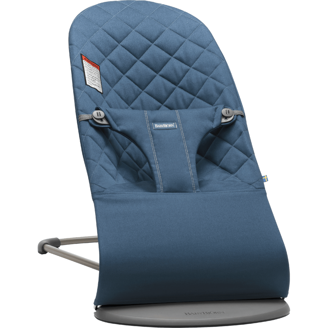 Baby bjorn baby sales seat