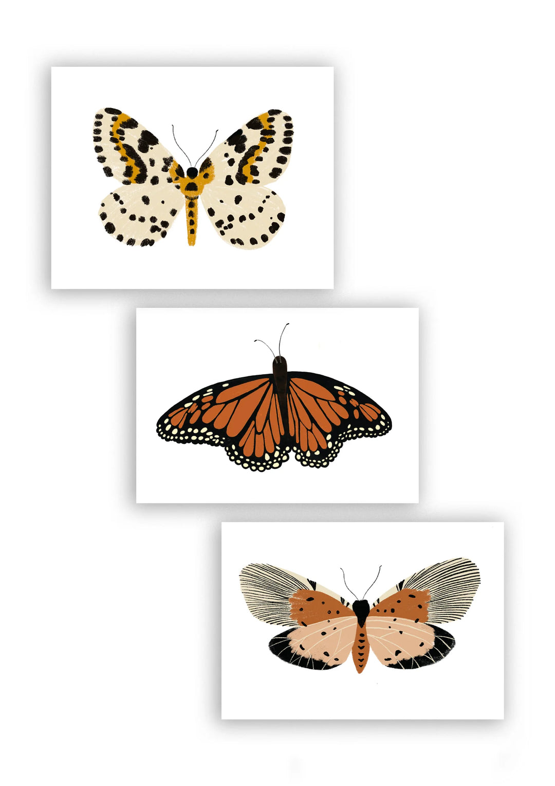 Monarch Butterfly Framed Art