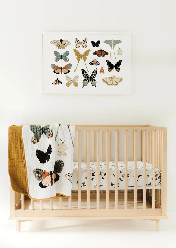 Clementine Kids Butterfly Collector Quilt