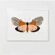 Monarch Butterfly Framed Art